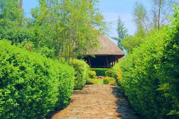 nguge hills lodge and wellness retreat