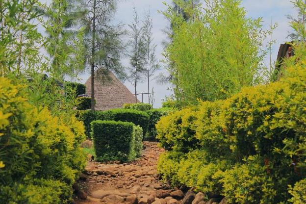 nguge hills lodge and wellness retreat