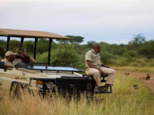 buffalo ridge safari lodge