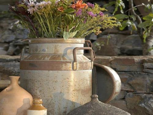 buffalo ridge safari lodge