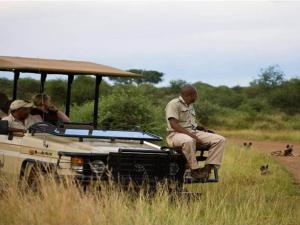 buffalo ridge safari lodge