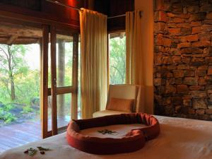 buffalo ridge safari lodge