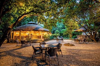 tiger camp resort river access