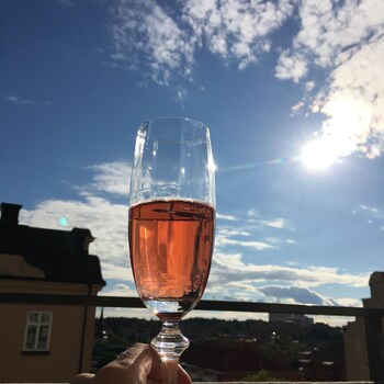 Hotell Torpa Pensionat,Stockholm>>Sodertalje,4 star