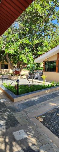 hiran gir retreat sasan gir