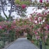 hotel villa pina