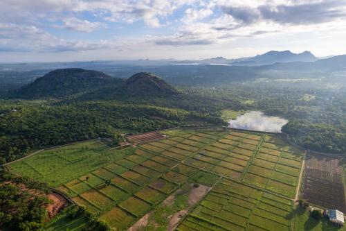 the river house dambulla by the serendipity collection