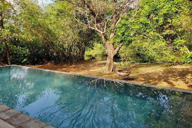 dambulla