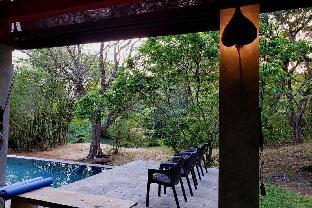 dambulla