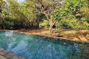 dambulla