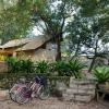 dambulla