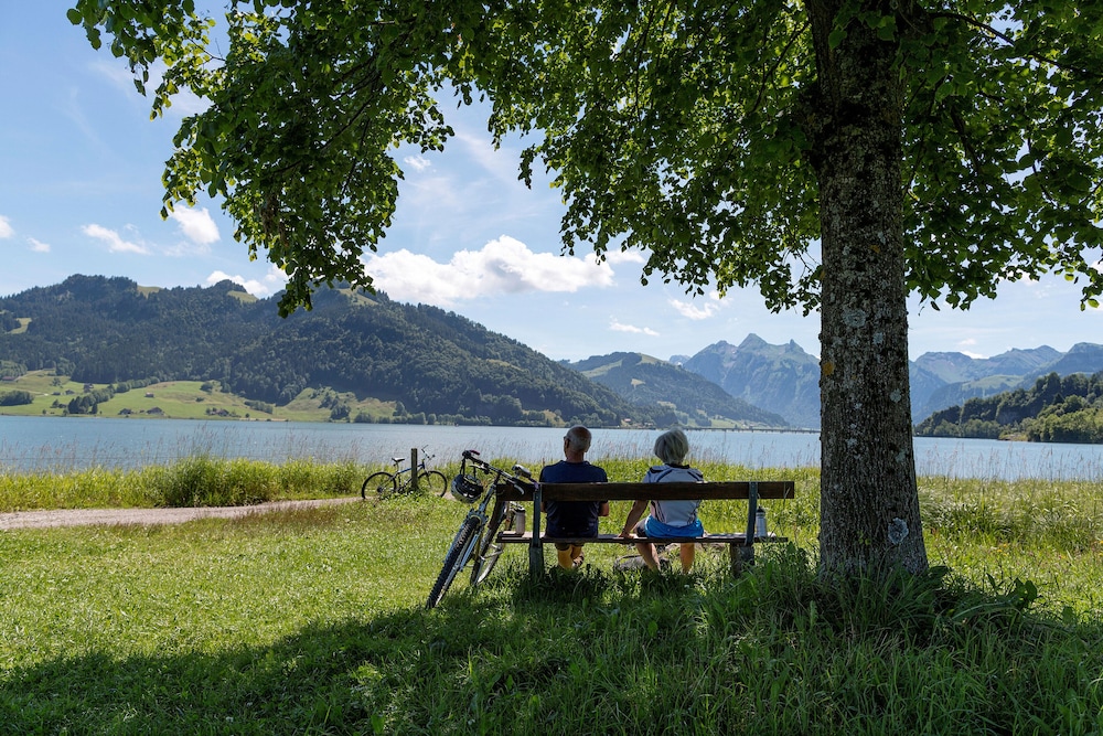 feusisberg