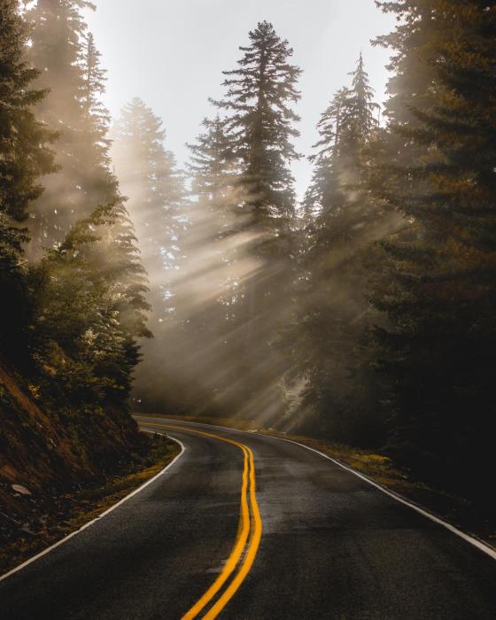 ashford