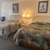 gray wolf lodge