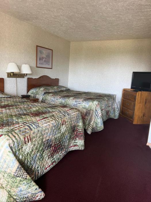 gray wolf lodge