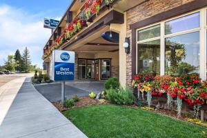 best western driftwood inn