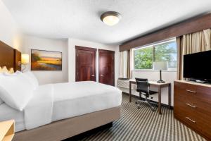 best western driftwood inn