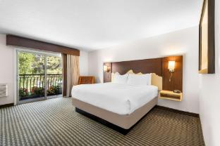 best western driftwood inn