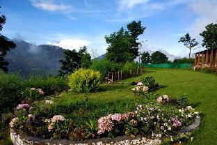 niyama jungle resort chail hills