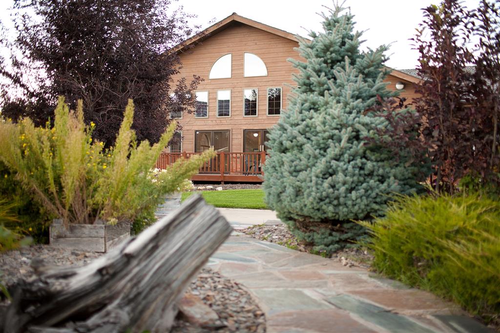 best western golden spike inn and suites