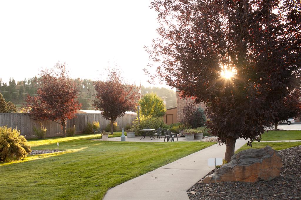 best western golden spike inn and suites
