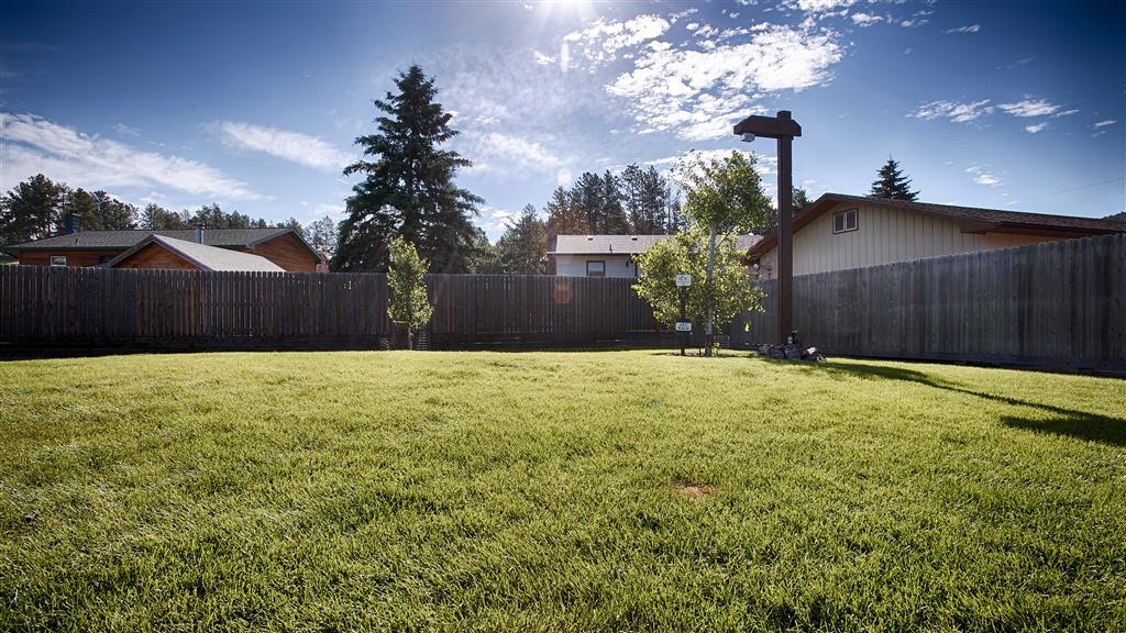 best western golden spike inn and suites