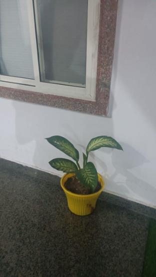 Govind Bhawan,Vrindavan>>Mathura,3 star