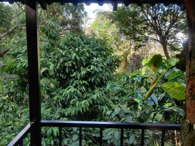 coorg