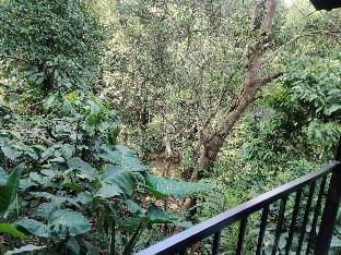 coorg