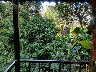 coorg