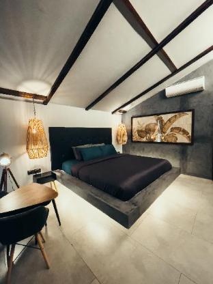 novella concept hotel and cafe