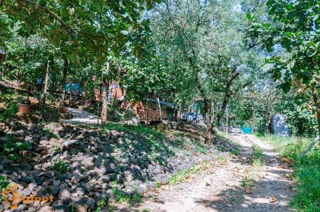 ekayana resorts and agri tourism