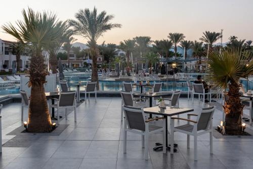 jaz sharm dreams