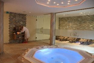 hotel alpina ros demming