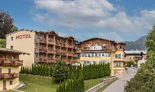 hotel alpina ros demming