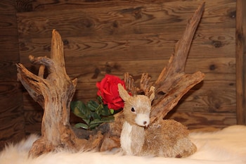 hotel alpina ros demming