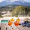 hotel alpina ros demming