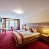 hotel alpina ros demming