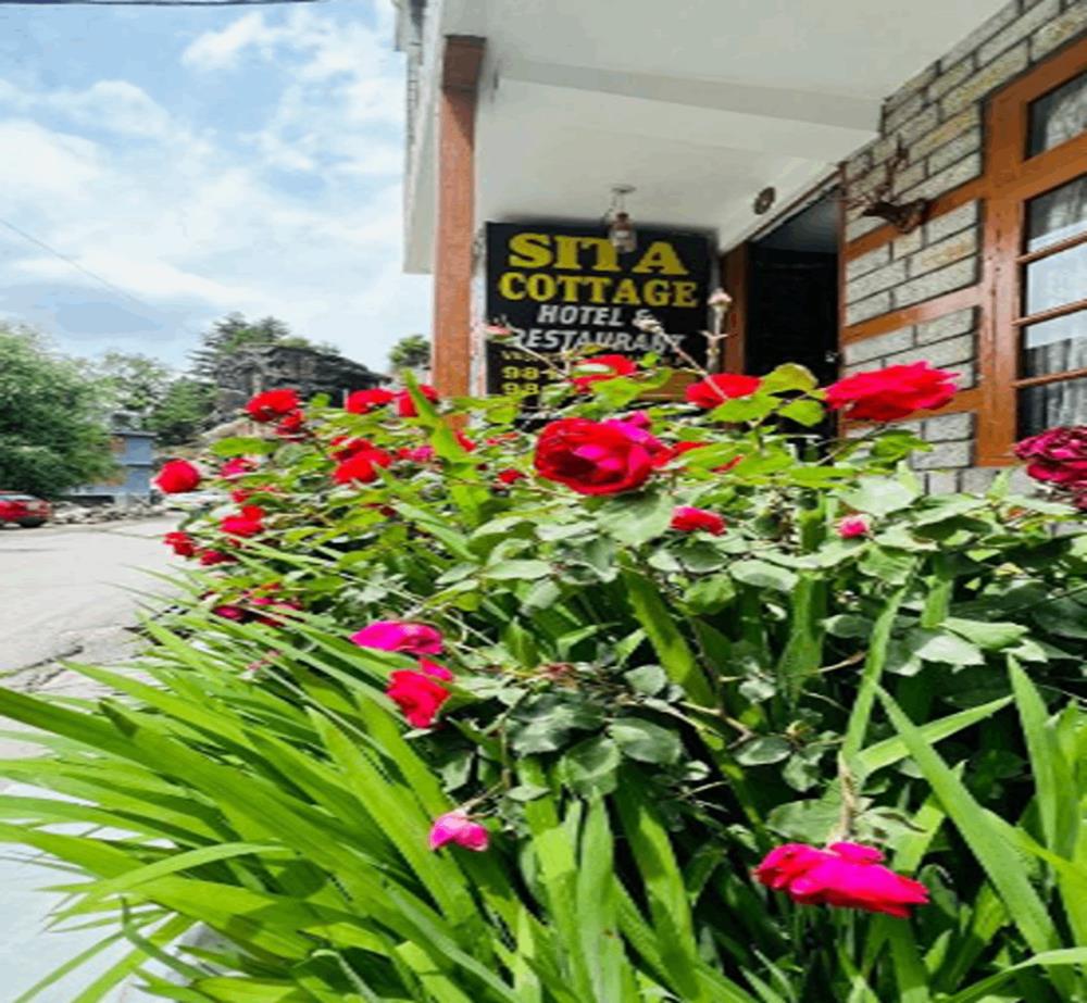 sita cottage manali