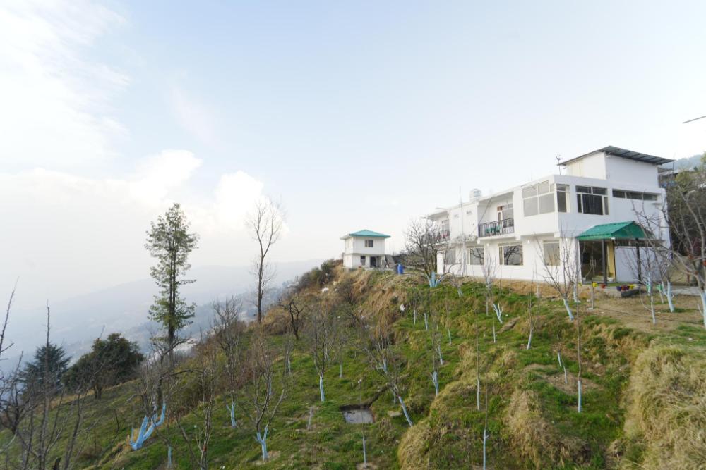 crested view kufri