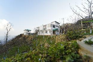 crested view kufri