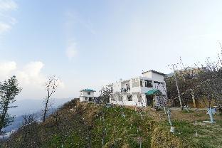 crested view kufri