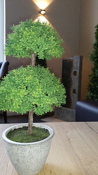 hotel an der altstadt