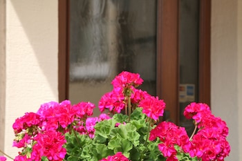 hotel an der altstadt