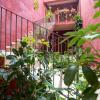 stella dellest