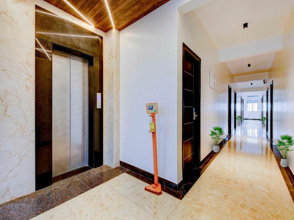 collection o royal elevar