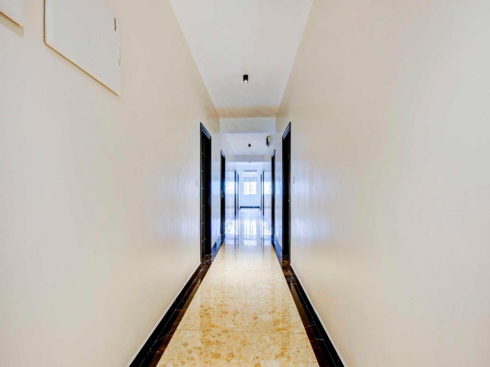 collection o royal elevar