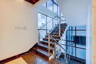 collection o royal elevar