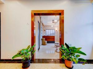 collection o royal elevar