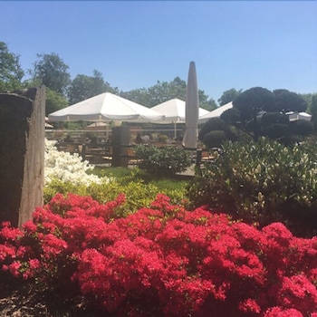 La Clairiere Bio & Spahotel,La Petite-Pierre>>Bas-Rhin,4 star